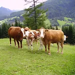 Mittergruberhof