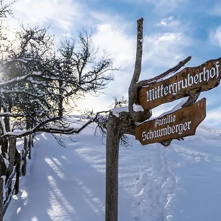 Mittergruberhof 3* Schladming