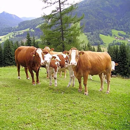 Mittergruberhof