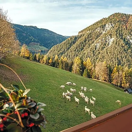 Mittergruberhof B&B 3*
