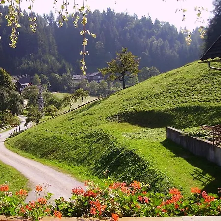Mittergruberhof 3* 斯拉德明