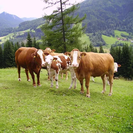 Mittergruberhof