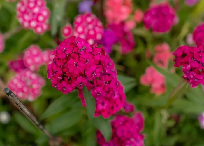 Mittergruberhof 3* Schladming