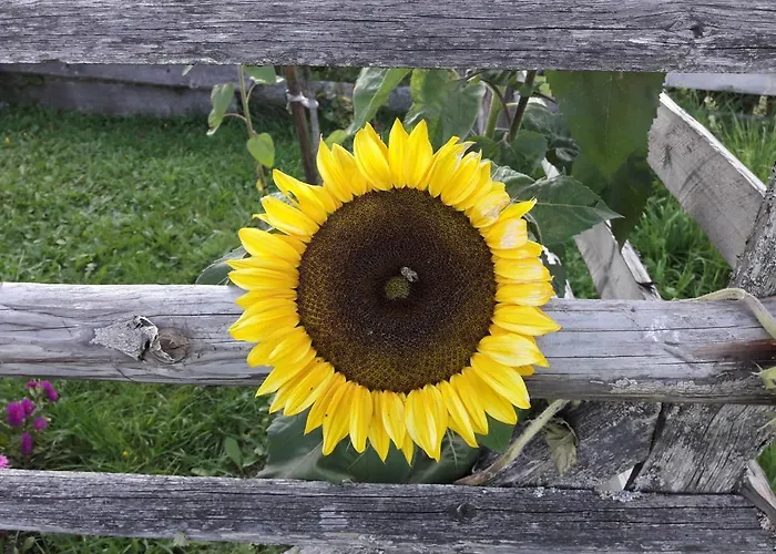 Mittergruberhof Bed & Breakfast 3*